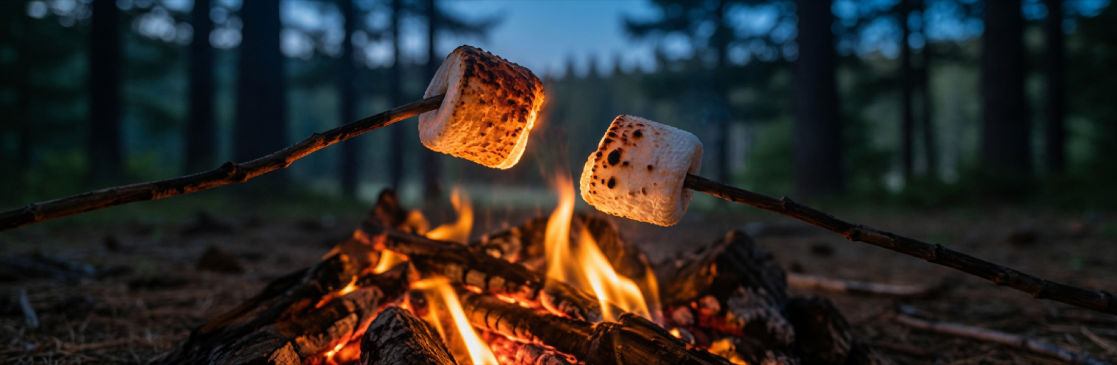 Toasted marshmallows over a forest campfire at dusk, an imagined outdoor scene.