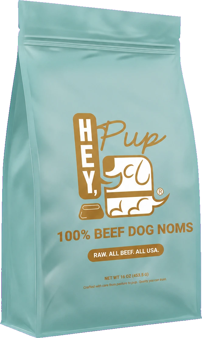 HeyPup 100% Beef Dog Noms single-ingredient freeze-dried treats