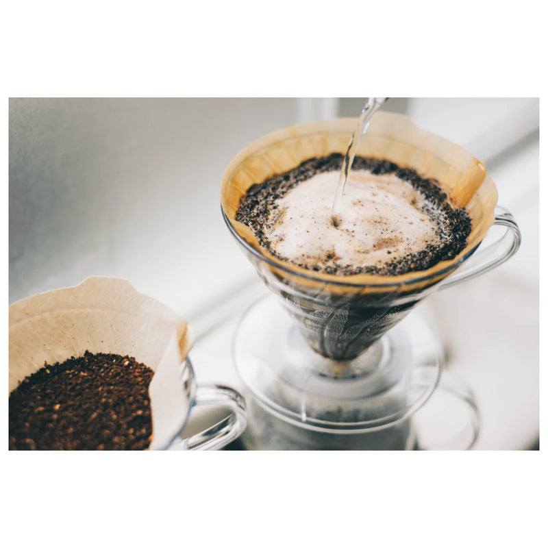 Hario V60 Paper Filters | Size 02 (1-4 Cups) or 03 (1-6 Cups) | Made in Japan