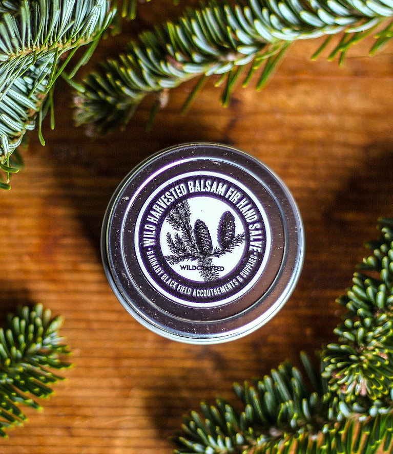 Balsam Fir Salve | Wild Foraged | 2 oz