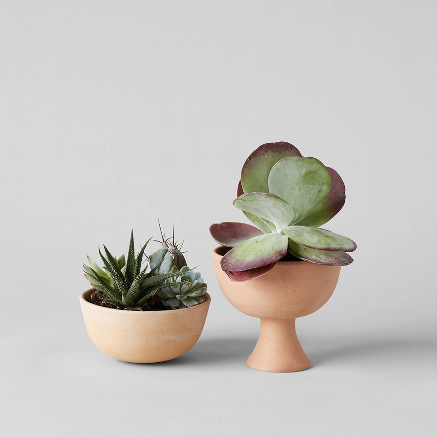 Half Sphere Terra Cotta Planter