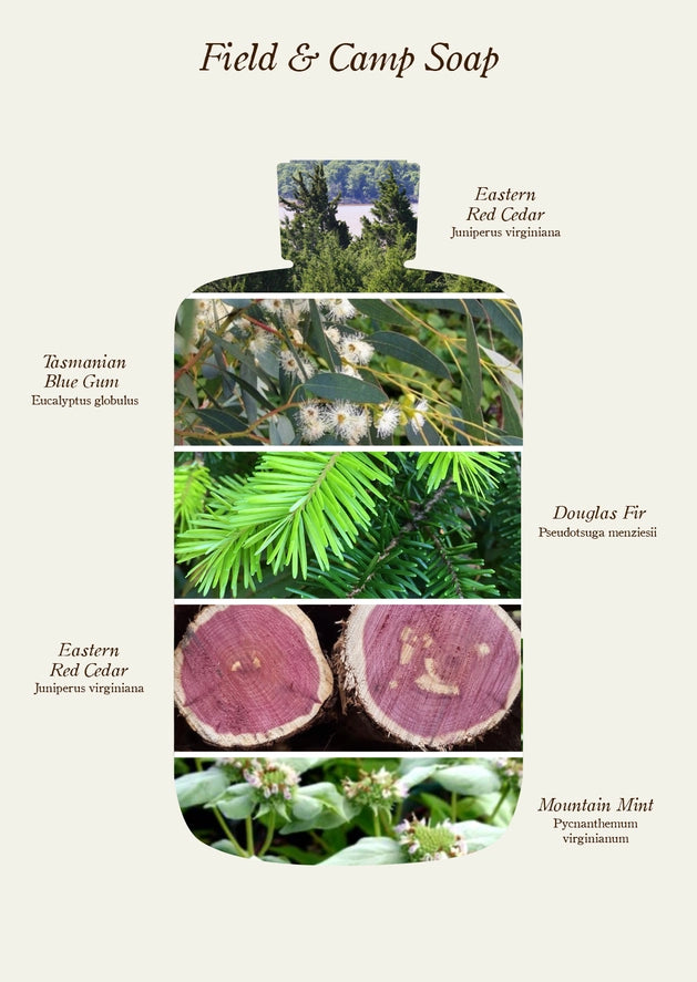 Field & Camp Soap | 8 oz | Douglas Fir & Cedar