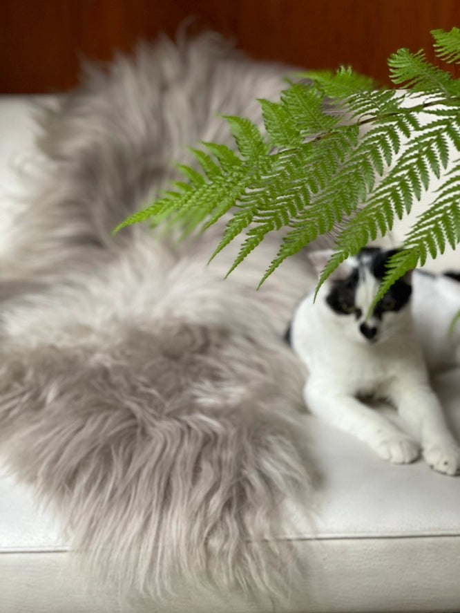 Asher Icelandic Sheepskin