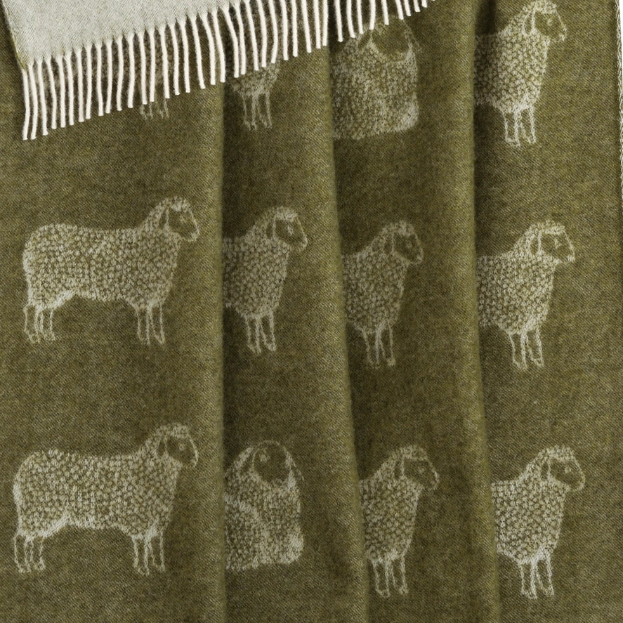 Sheep Mossy Green Pure Wool Throw