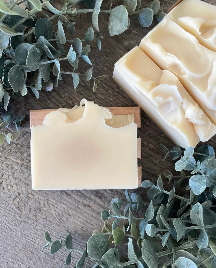 Rosemary Shampoo + Body Bar