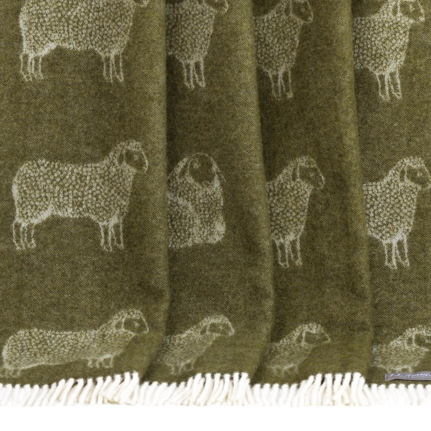 Sheep Mossy Green Pure Wool Throw