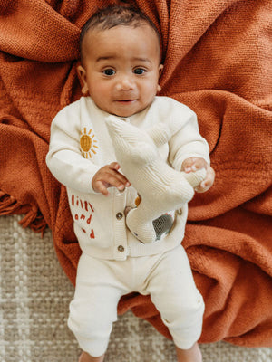 Organic Cotton Knit Stuffed Animal Baby Toy | Soft Plush Dino