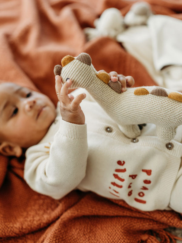 Organic Cotton Knit Stuffed Animal Baby Toy | Soft Plush Dino