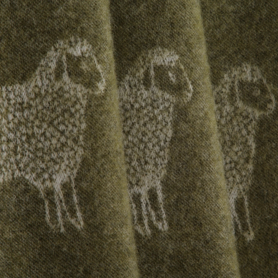 Sheep Mossy Green Pure Wool Throw