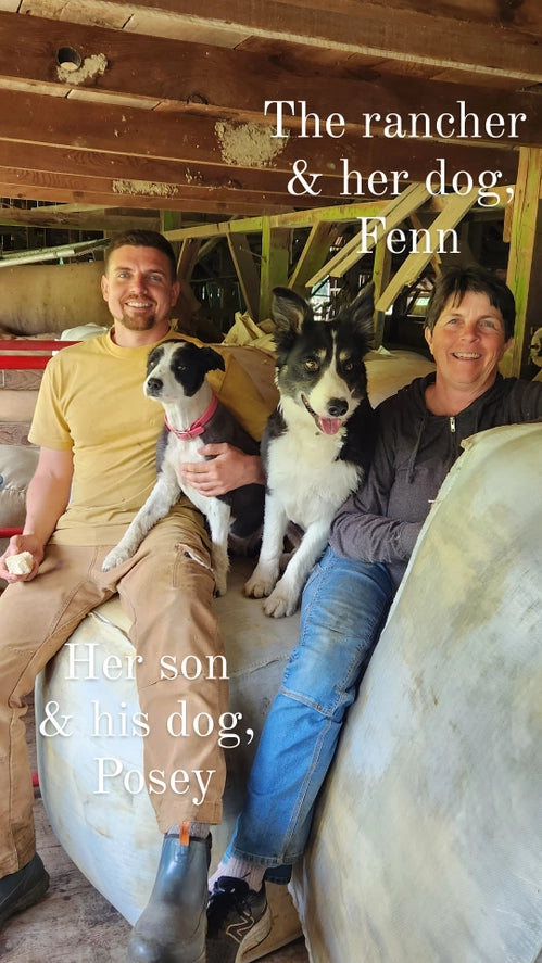 Wool Dish Sponges ~ Climate Beneficial™