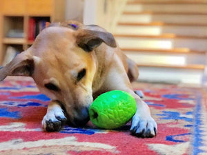 Dinosaur Egg Dog Chew Toy & Treat Dispenser | USA Made | Durable Rubber