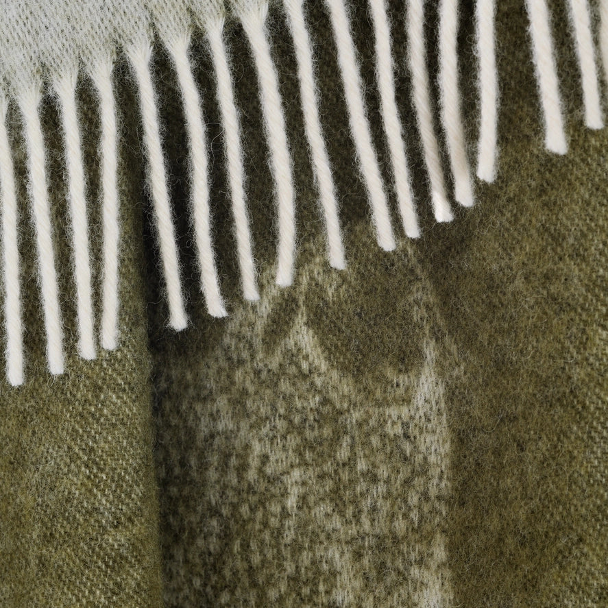 Sheep Mossy Green Pure Wool Throw