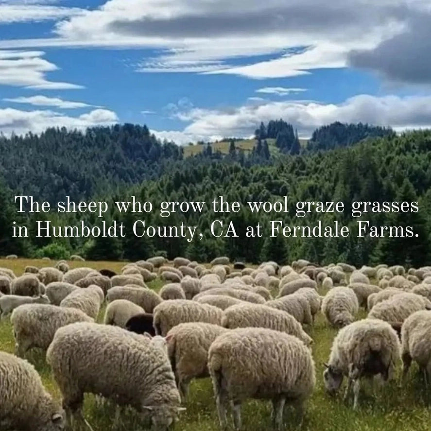 Wool Dish Sponges ~ Climate Beneficial™