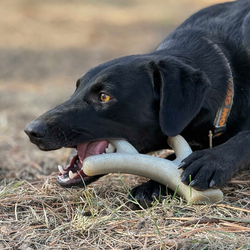 Ever Antler Nylon Chew Bone | Elk Antler Shaped Dog Toy | Made in USA