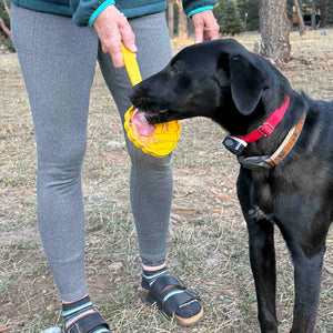 eStick Hand-Held Dog Enrichment Toy | Interactive Lick Stick | USA Made