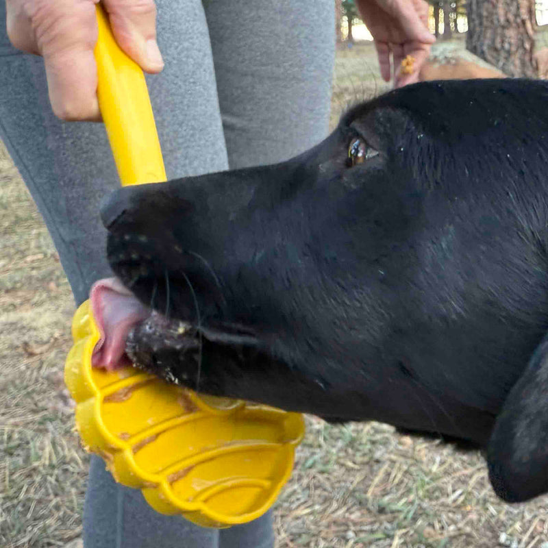 eStick Hand-Held Dog Enrichment Toy | Interactive Lick Stick | USA Made