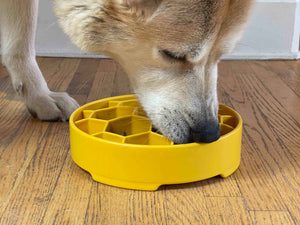 Honeycomb eBowl Deep Slow Feeder Dog Bowl | USA Made