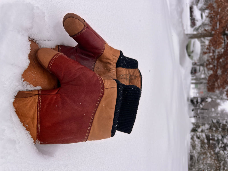 Rarely Extreme Mitten in brown, standing in deep snow