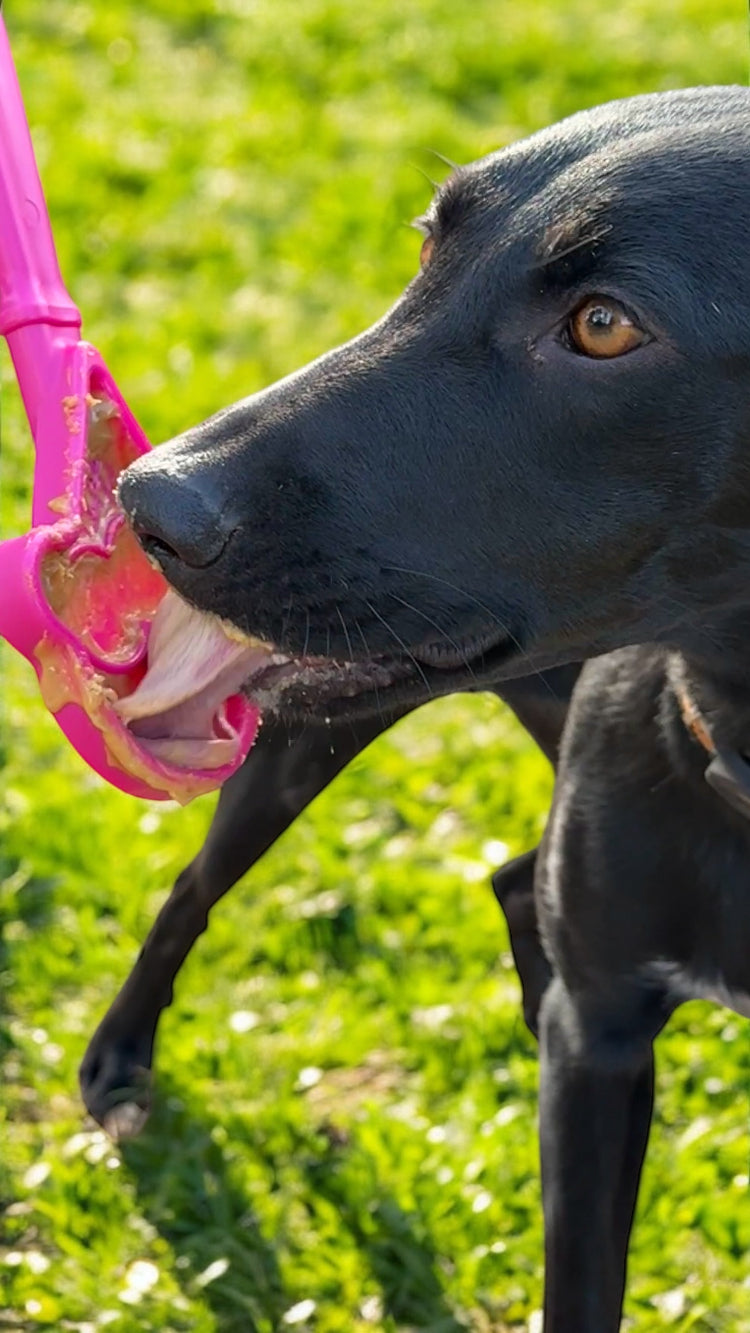 eStick Hand-Held Dog Enrichment Toy | Interactive Lick Stick | USA Made