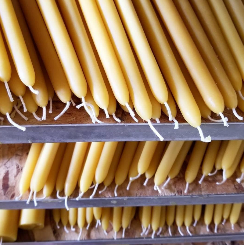 12" Beeswax Taper Candles | Hand-Fluted Base | 4-Pack or Dozen