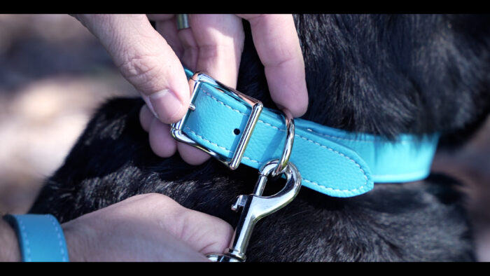 Tuscan Leather Dog Collar | 3/8" x 10" | Center Bar Buckle
