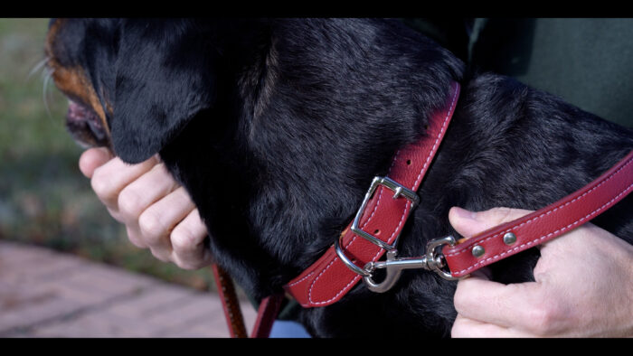 Tuscan Leather Dog Collar | 3/8" x 10" | Center Bar Buckle