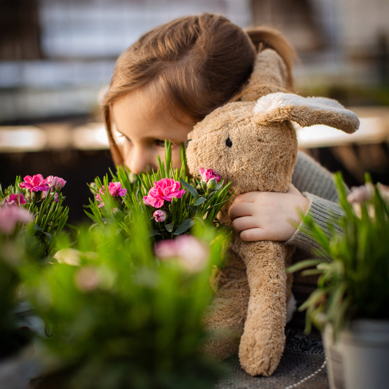 Floppy Rabbit | Large | Beige | Sheep's Wool Fill