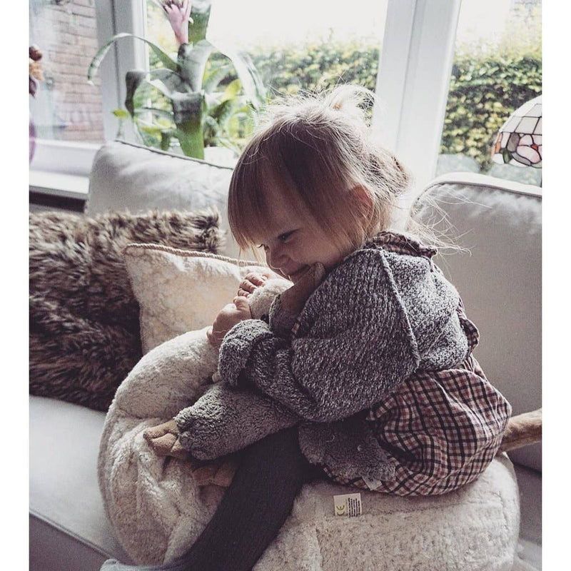 Beanbag Goose | Stuffed Plush Toy