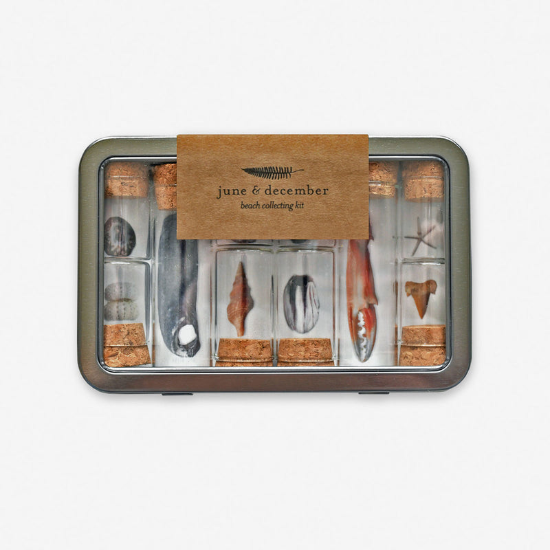 Beach Collecting Kit | Forceps, Bottles & Botanical Labels