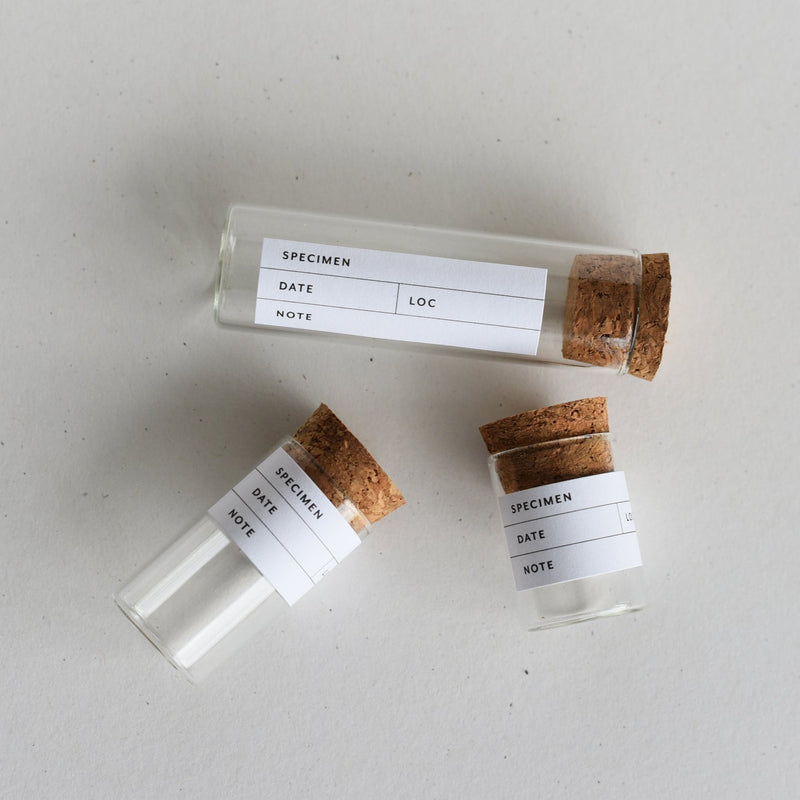 Beach Collecting Kit | Forceps, Bottles & Botanical Labels