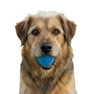 Glitter Ball Dog Toy | Soft Rubber | Floating Fetch Ball & Treat Dispenser | USA Made