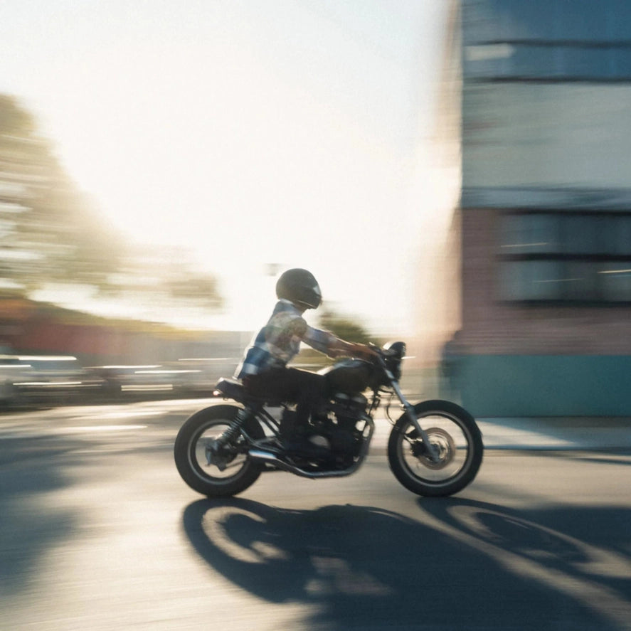 Lion Guard Leather Motorcycle Gloves