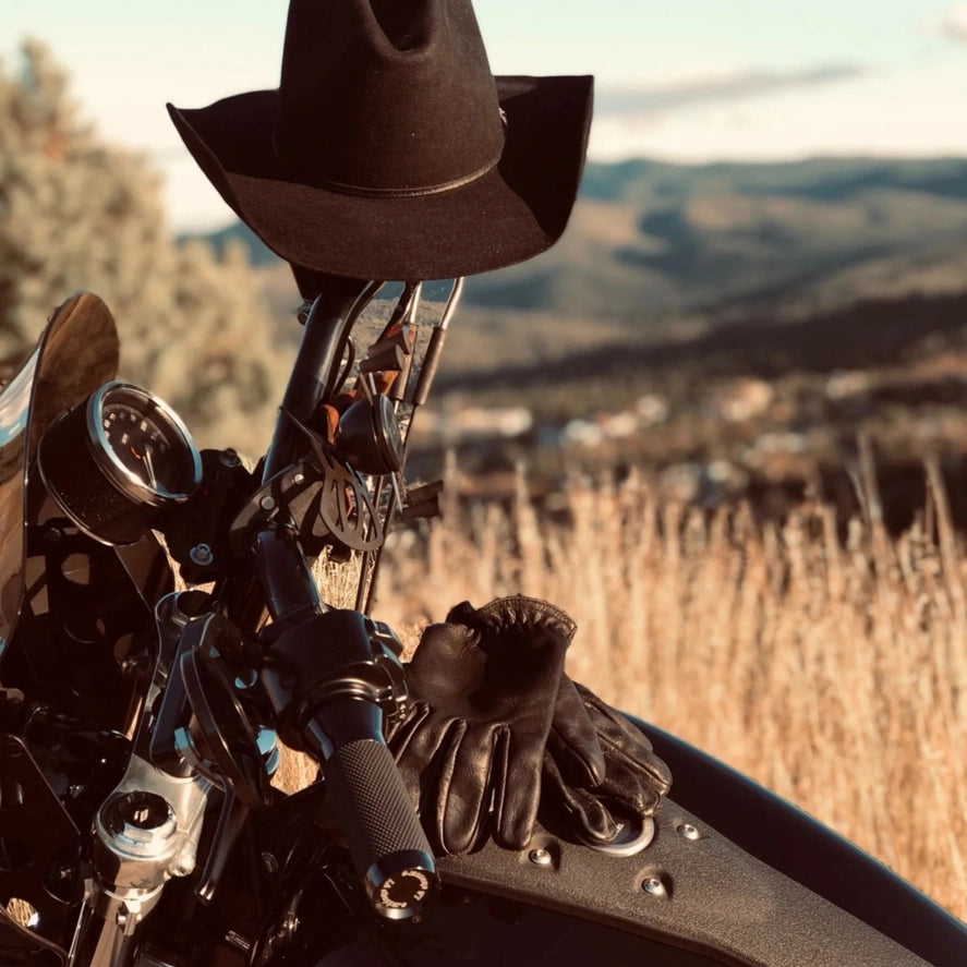 Lion Guard Leather Motorcycle Gloves