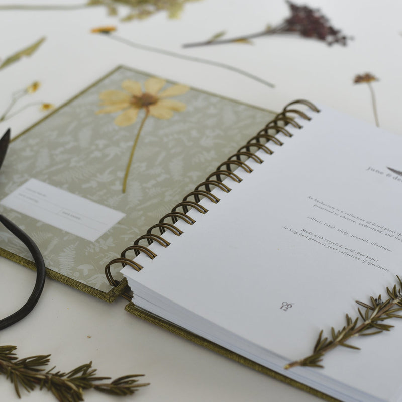 Fern Herbarium Journal | Forest Green | Recycled Materials