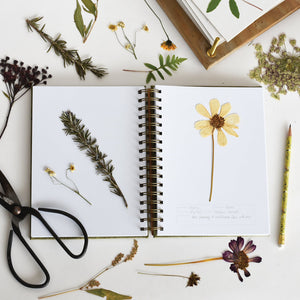 Fern Herbarium Journal | Forest Green | Recycled Materials