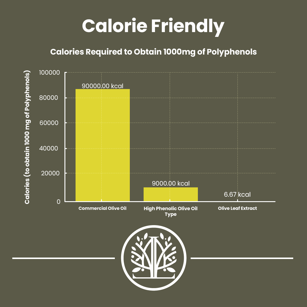 Mediterranean olive leaf extract
Vegan olive leaf supplement
Natural immune support supplement
GMP certified herbal supplement
Olive leaf extract for heart health