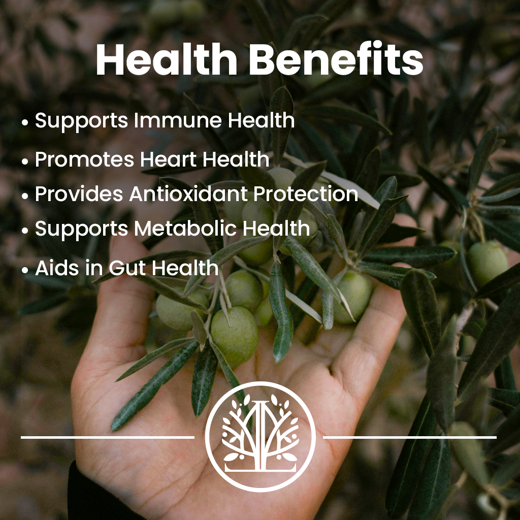 Mediterranean olive leaf extract
Vegan olive leaf supplement
Natural immune support supplement
GMP certified herbal supplement
Olive leaf extract for heart health