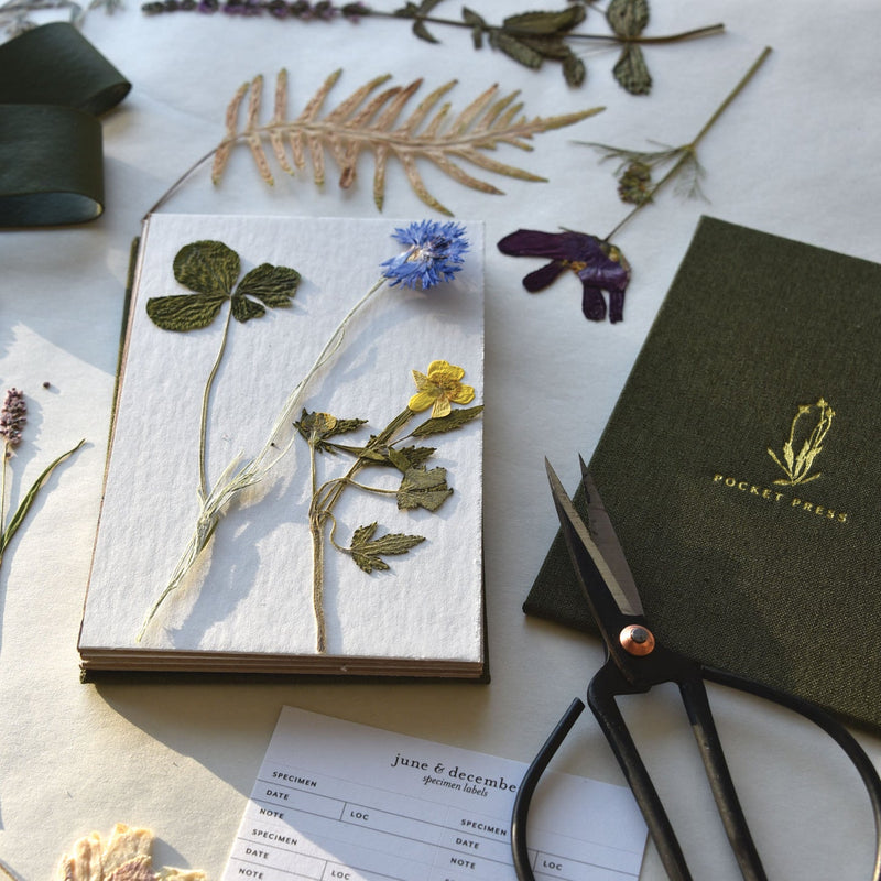 Pocket Flower Press | Reusable Wooden Press | Made in USA