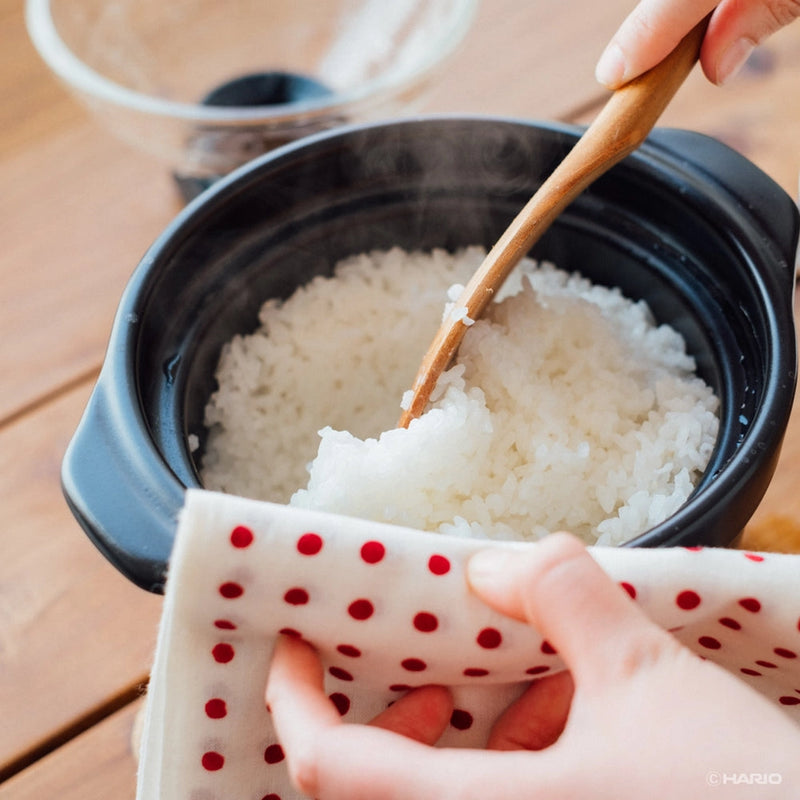 Japanese Banko Ware Ceramic Rice Cooker