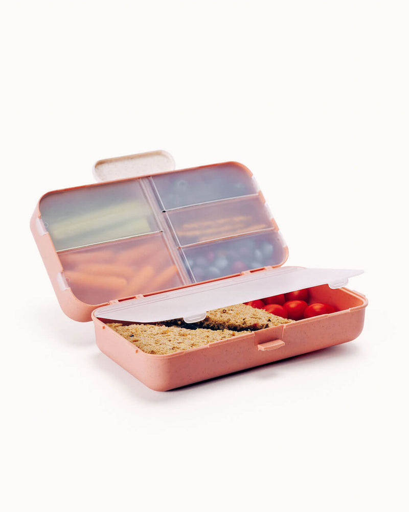 Snack Box | 6 Compartments | Coral