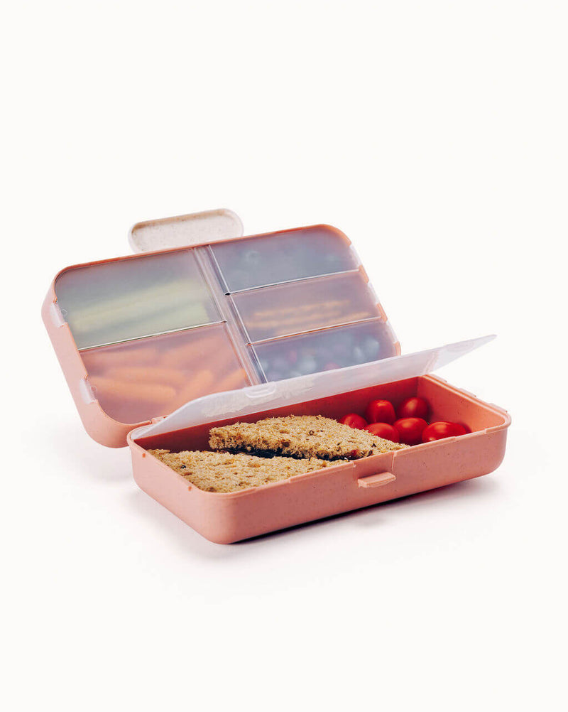 6-Compartment Snack Box | Green