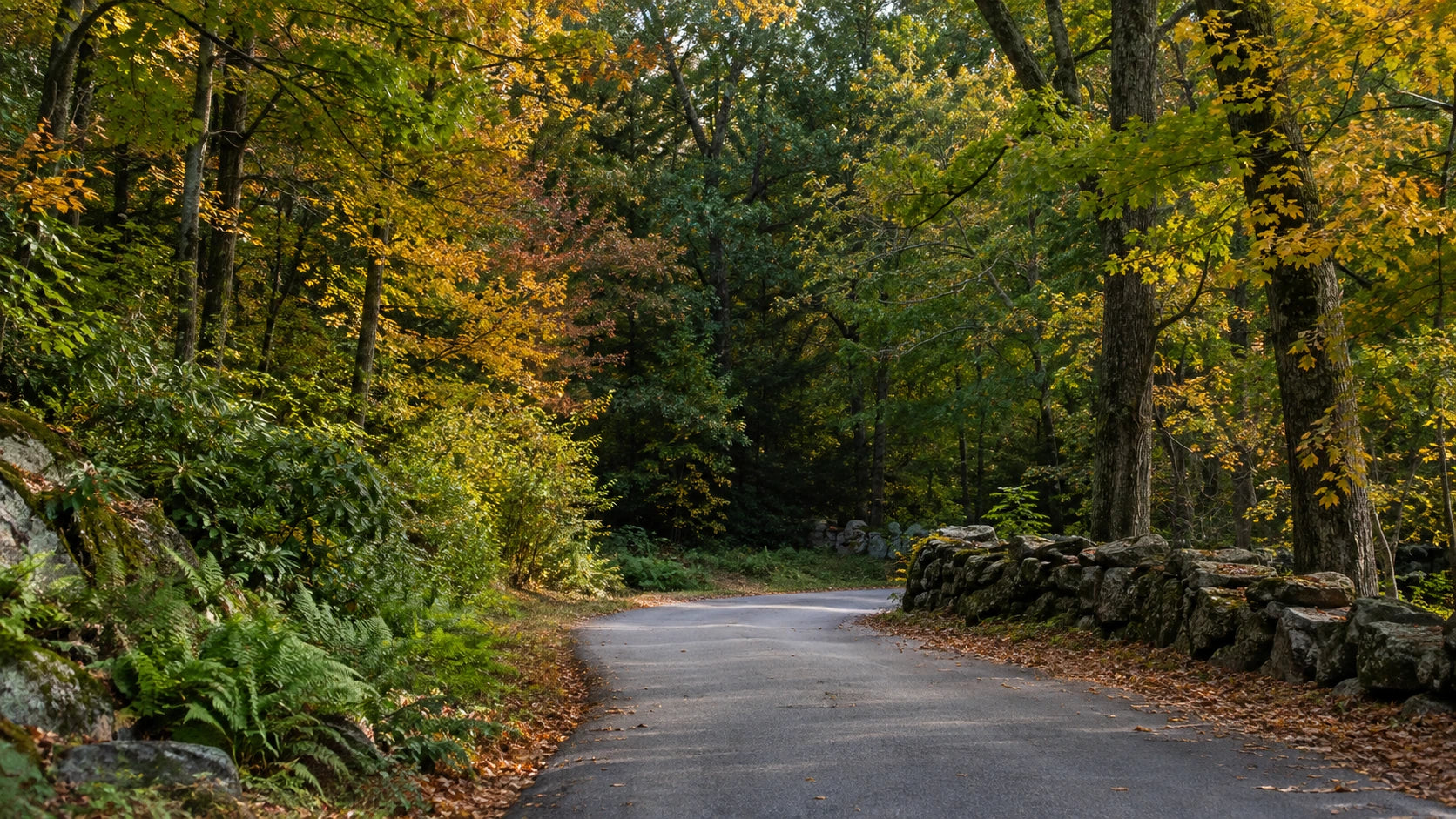 A winding road through green ferns, golden autumn trees and weathered stone walls.